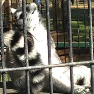 Meet your Posher, Joe